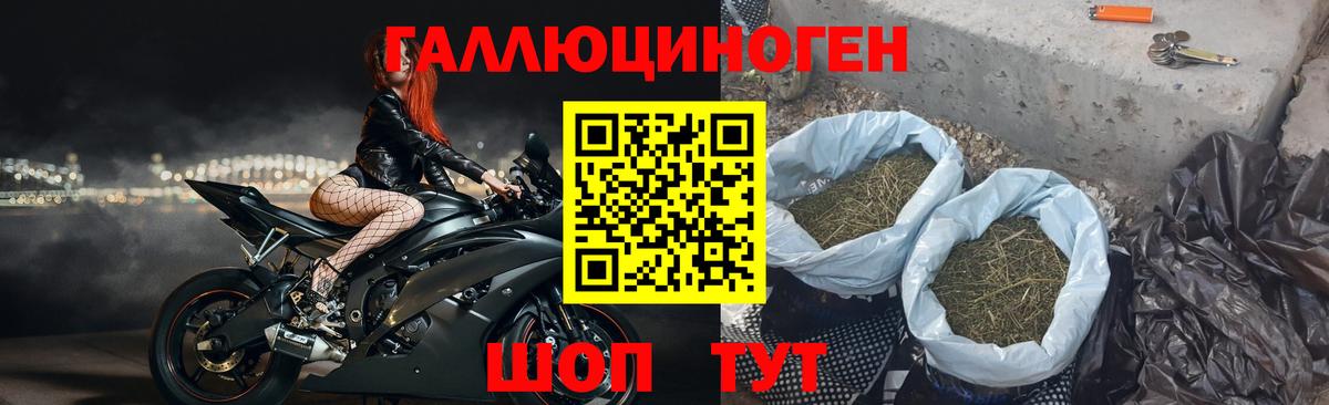 Галлюциногенные грибы Cubensis  Вход с VPN  Зима  Галлюциногенные грибы Magic Shrooms 